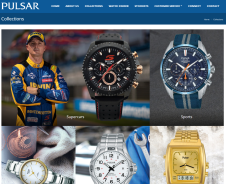 Pulsar Watches